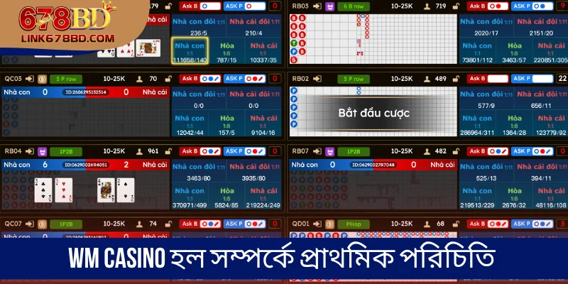 WM Casino হল সম্পর্কে প্রাথমিক পরিচিতি